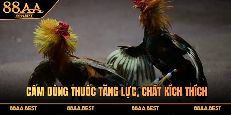 Luật Đá Gà Miền Bắc 88AA - Quy Định, Cách Chơi Và Lưu Ý 4 Luật đá gà miền Bắc nghiêm cấm sử dụng chất kích thích trong thi đấu